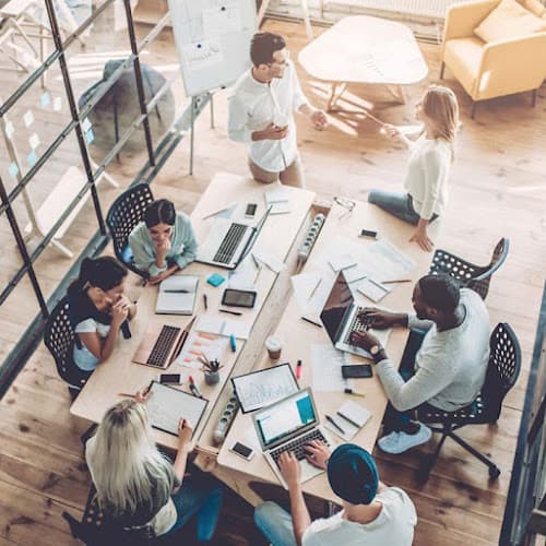 Business listing image