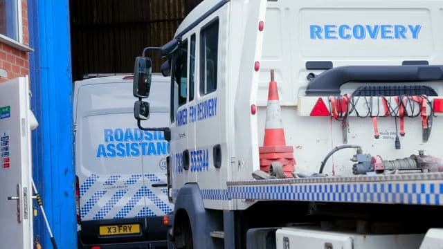 Business listing image