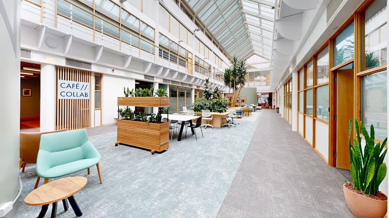 Business listing image